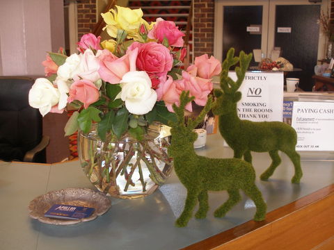 Apollon Motor Inn - Accommodation Directory 2