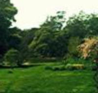 Birdwing Bed  Breakfast Weegena - Accommodation Directory