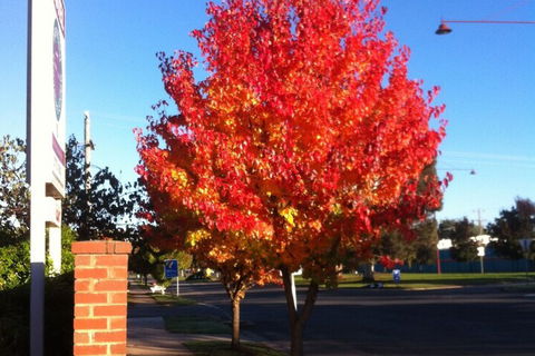 Mansfield Traveller's Lodge - Accommodation Directory 2