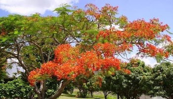 Chatsworth QLD Accommodation Directory