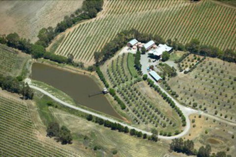 Patly Hill Farm - Accommodation Directory 1