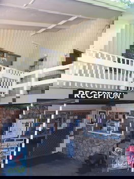 Captain Cook Holiday Village - Accommodation Directory 0