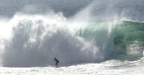 Refuge Cove On Pittwater - Accommodation Directory 1