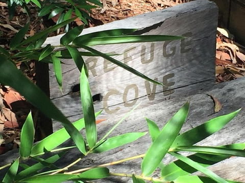 Refuge Cove On Pittwater - Accommodation Directory 5