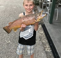 Eildon Pondage Holiday Park