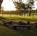 Wallaby Cottage cute Accom in bushland setting - Accommodation Directory