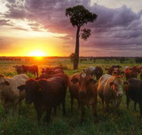 Myella Farm Stay - Accommodation Directory