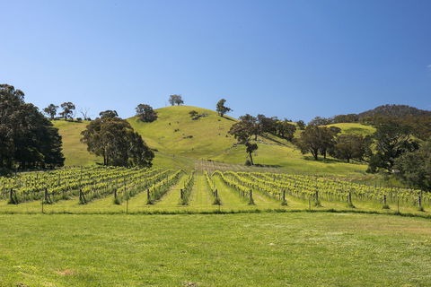 Blue House At Mountainside Wines - Accommodation Directory 1
