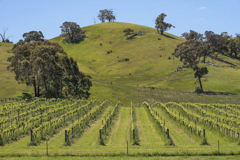 Blue House At Mountainside Wines - Accommodation Directory 0