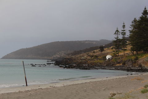 Baudin House - Accommodation Directory 3