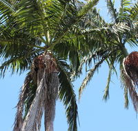 Tri Byron Bay - Accommodation Directory