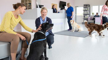 Tourism Listing Partner Vets Adelaide