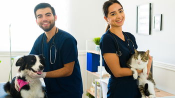 Tourism Listing Partner VETS Brisbane