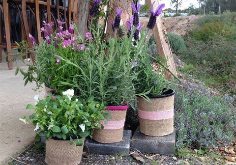 Amongst The Sticks - Accommodation Directory 1