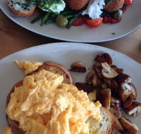 The Little Elephant - Accommodation Directory