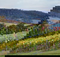 De Bortoli Winery  Restaurant - Accommodation Directory