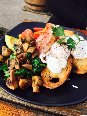 Moons Espresso Bar - Accommodation Directory 0