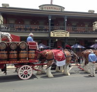 Terminus Hotel - Accommodation Directory