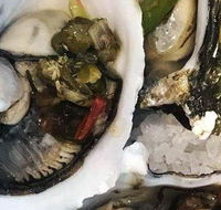 Espresso 351 - Accommodation Directory