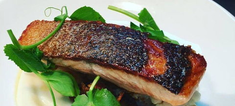 The Shaggy Cow - Accommodation Directory 0