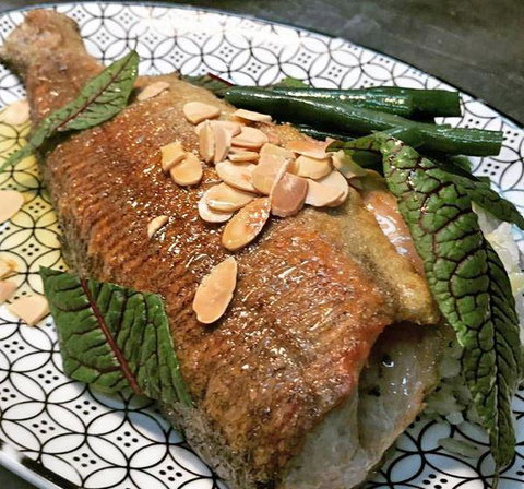 The Shaggy Cow - Accommodation Directory 9