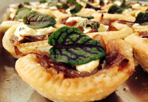 The Shaggy Cow - Accommodation Directory 10