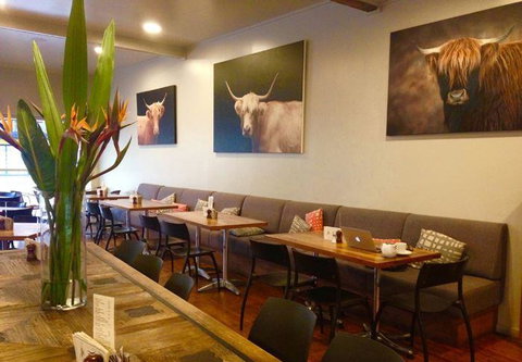 The Shaggy Cow - Accommodation Directory 11