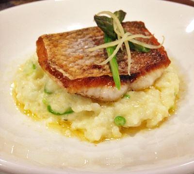 The Shaggy Cow - Accommodation Directory 13