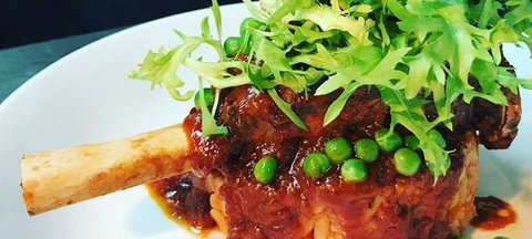 The Shaggy Cow - Accommodation Directory 2