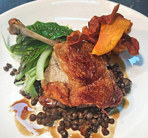 The Shaggy Cow - Accommodation Directory 8