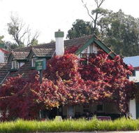 Fetching Treasures - Accommodation Directory