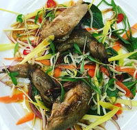 Tuileries Restaurant - Accommodation Directory