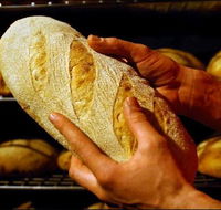 Red Beard Historic Bakery - Accommodation Directory
