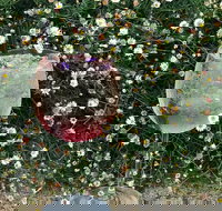 Bacco Re - Accommodation Directory