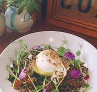 The Shak Organic Cafe  Wine Bar - Accommodation Directory