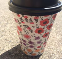 Scatter Bean - Accommodation Directory