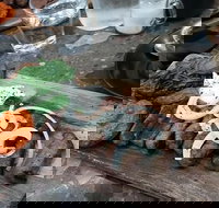 Cafe Marko - Accommodation Directory