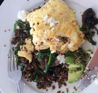 Prikly Pair Cafe - Accommodation Directory