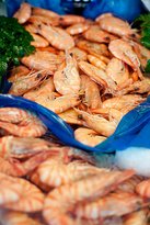 Mures Lower Deck - Accommodation Directory 6