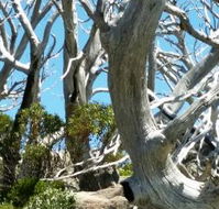 Alpine Eyre - Accommodation Directory