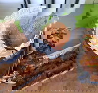 Hello Harry - Accommodation Directory