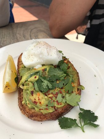 Avoca Beach NSW Accommodation Directory