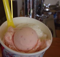 Bermagui Gelati Clinic - Accommodation Directory