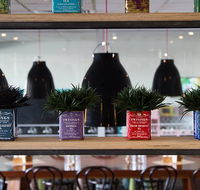 Collegians Balgownie - Accommodation Directory
