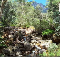 Star Chinese Restaurant - Accommodation Directory