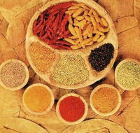 Tehzeeb Indian and Australian Restaurant - Accommodation Directory