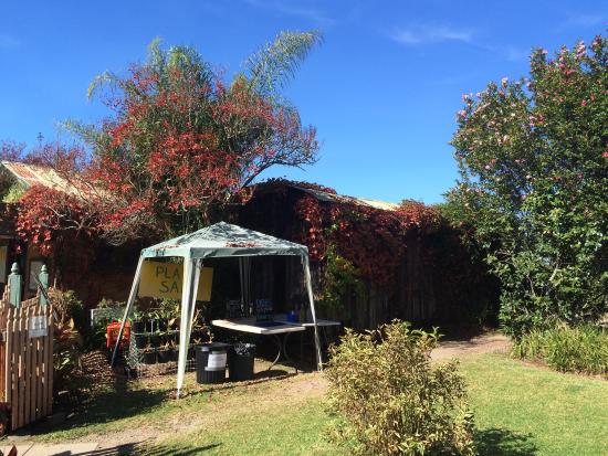 Bilpin NSW Accommodation Directory