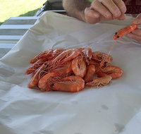 Ballina Fishermen's Co-op - Accommodation Directory