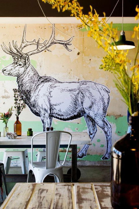 Elk Espresso - Accommodation Directory 0
