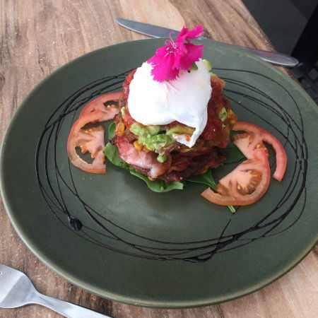 Raw Energy Burleigh Heads - Accommodation Directory 0